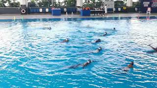 NSG 2024 C Division Waterpolo [upl. by Odlo274]