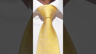 How to Tie a Tie  Easy Windsor Knot [upl. by Hagi]