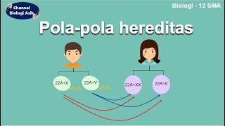 Polapola hereditas  Biologi kelas 12 SMA [upl. by Birkett779]