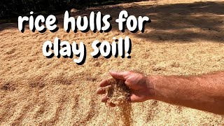 Amending heavy clay soil with rice hulls [upl. by Anayia]