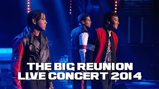 3T  ANYTHING THE BIG REUNION LIVE CONCERT 2014 [upl. by Rayford]