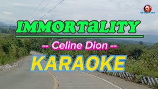 Immortality  karaoke cover by Celine Dion [upl. by Ednarb956]