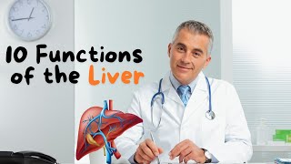 10 Functions of the Liver  What You Must Know [upl. by Haleak229]