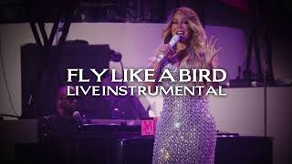 Mariah Carey  Fly Like A Bird Rock in Rio Live Instrumental [upl. by Airamalegna]