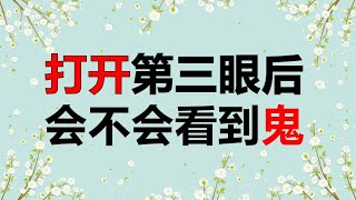 打开天眼后会不会看到鬼，如何修练开天眼，用天眼看鬼会不会很可怕 [upl. by Aissac513]