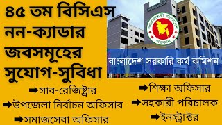 ৪৫ বিসিএস ননক্যাডার জব সমূহ কেমন BCS NonCadre Job। ননক্যাডার জব [upl. by Nerro]