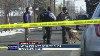 Mesa county Sheriffs Deputy Shot [upl. by Eardna]