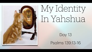 My Identity in Yahshua Day 13 [upl. by Swithbart]