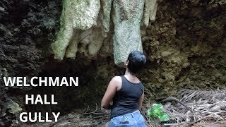 Attractions in Barbados  Welchman Hall Gully  Journey with Jules [upl. by Attennot]