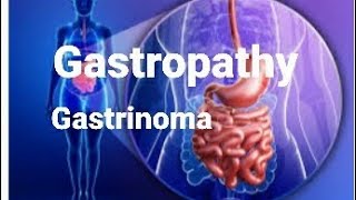 Gastropathy  Gastrinoma  Symptoms  Treatment  GIT Disorders [upl. by Ferreby]