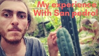 My honest experience with Peruvian Cactus San Pedro Mescaline [upl. by Yokoyama257]