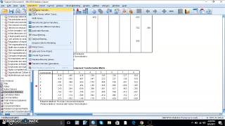 SPSS Data Analysis Reliability Descriptives Factor Analysis Correlation amp Regression [upl. by Imeka]