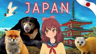 Explore Japans Amazing Wildlife with Hana 🐻🦊🐒 [upl. by Niledam3]