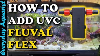 Fluval Flex 123  Fitting Fluval UVC Inline Aquarium Clarifier [upl. by Notnerb]