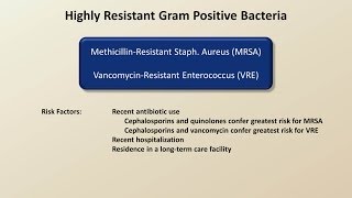 Antibiotics for Gram Positive Infections Antibiotics  Lecture 4 [upl. by Yila]