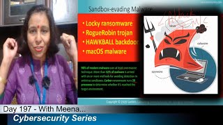 Day197 What Is Sandboxing How Can Malware Evade Even Sandbox [upl. by Nata]