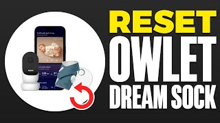 How To Reset Owlet Dream Sock 2024 [upl. by Rabkin]