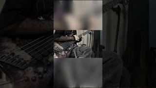 Veil Of Maya  Mikasa Bass Cover 弾いてみた ベース ギター bass metalmusic metalbassist veilofmaya [upl. by Airotnes]