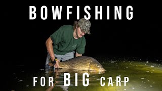 BOWFISHING for BIG Carp in CLEAR WATER [upl. by Jonati]