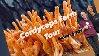 CORDYCEPS FARM TOUR Sarasota  How to Grow Cordyceps w Christine  Child of the Earth [upl. by Ause]