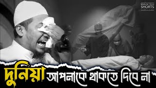 দুনিয়া আপনাকে থাকতে দিবে না  Anisur Rahman Ashrafi [upl. by Fuchs]