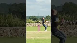 CRICKETS A STUPID GAME cricket cricketlover villagecricket cricketnews t20 crickethighlights [upl. by Petrick170]