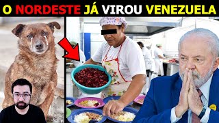 🚨Políticos APROVAM abate de CÃES abandonados e DOAÇÃO da CARNE para CONSUMO em creches e escolas [upl. by Emlen862]