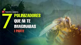 7 Polinizadores que contribuyen con la agricultura y otras funciones ecosistémicas Parte 1 🐝 [upl. by Notnyw346]