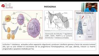 APLASIA MEDULAR GENERALIDADES PARTE 1 [upl. by Masera]