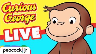 🔴 CURIOUS GEORGE 247 MARATHON 🐵 Livestream for Kids ✨ Cartoons for Children 🐵 [upl. by Akerdnuhs189]