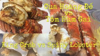 Cua Hoàng Đế vs Tôm Hùm Gai  King Crab vs Spiny Lobster Mukbang [upl. by Palmer]