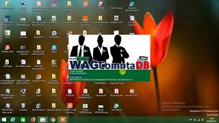 Wagcompta DataBase Logiciel de saisies comptables automatisées [upl. by Otilrac]