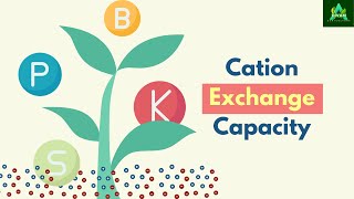 Cation Exchange Capacity agriculture soilscience [upl. by Vassili208]