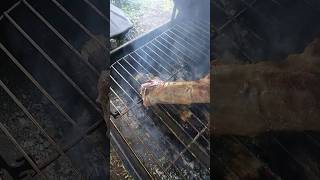 BBQed Wild Hog Backstrap [upl. by Drarrej]