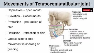 Movements of Temporomandibular Joint  Axes of Movements  Muscles producing the Movements with AA [upl. by Carleton]