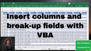 Insert columns and break up fields with VBA in Excel [upl. by Cassi]