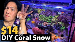 For 14 More Water Clarity No Cyano Vermetid Snail Lower Nutrients Testing out DIY Coral Snow [upl. by Adyam]