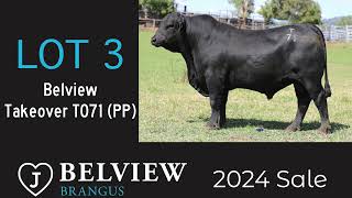 Lot 3 Belview Takeover T071 PP [upl. by Ellennahc]