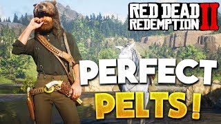 RDR2 How To Get Perfect Pelts amp Legendary Animals Red Dead Redemption 2 Tips amp Hunting [upl. by Roberson453]