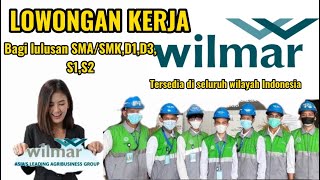 PT WILMAR MEMBUKA LOWONGAN KERJA UNTUK LULUSAN SMASMK D1D3S1S2 untuk BERBAGAI POSISI [upl. by Marnia]