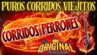 Las 100 Puros Corridos Viejitos Norteños Lo Mejor De Lo Mejor [upl. by Vial842]