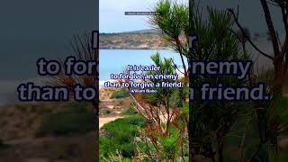 The Power of Forgiveness 3 Profound Quotes with Calming Nature Sounds dailyquotesforlife [upl. by Kristoffer]