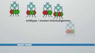 Molecular action of p53 in carcinogenesis [upl. by Newell655]