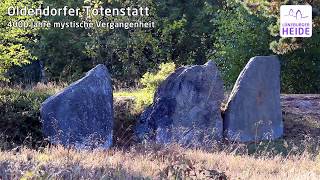 Oldendorfer Totenstatt Mystische Gräber und Heide bei Amelinghausen Lüneburger Heide [upl. by Occer]