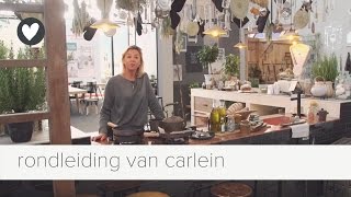 rondleiding vtwonenhuis van hoofdredacteur carlein  vt wonenampdesign beurs 2016  events [upl. by Heinrik702]