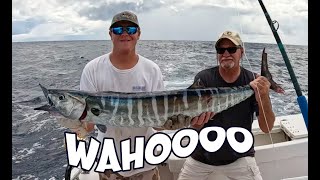 EPIC WAHOO FISHING OCRACOKE ISLAND NORTH CAROLINA [upl. by Zingale777]