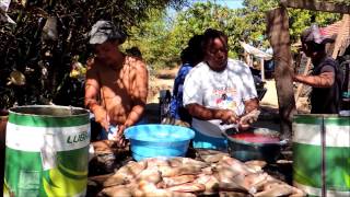 TRAILER ACAMPAMENTO DA ORLANDINA 2014  RIO ARAGUAIA [upl. by Akinak]