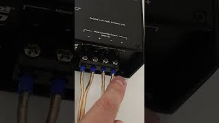 Understanding Monoblock Amp Speaker Terminals shorts [upl. by Yle299]