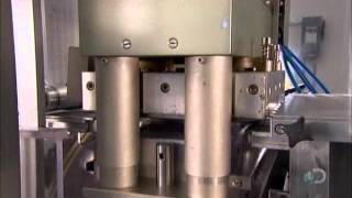 BLISTRIP  II Automatic Blister Packing Machine [upl. by Nolubez]