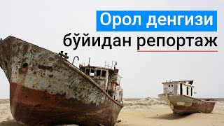 Орол денгизи бўйидан жонли репортаж  Фируз Аллаев [upl. by Eiramyllek]